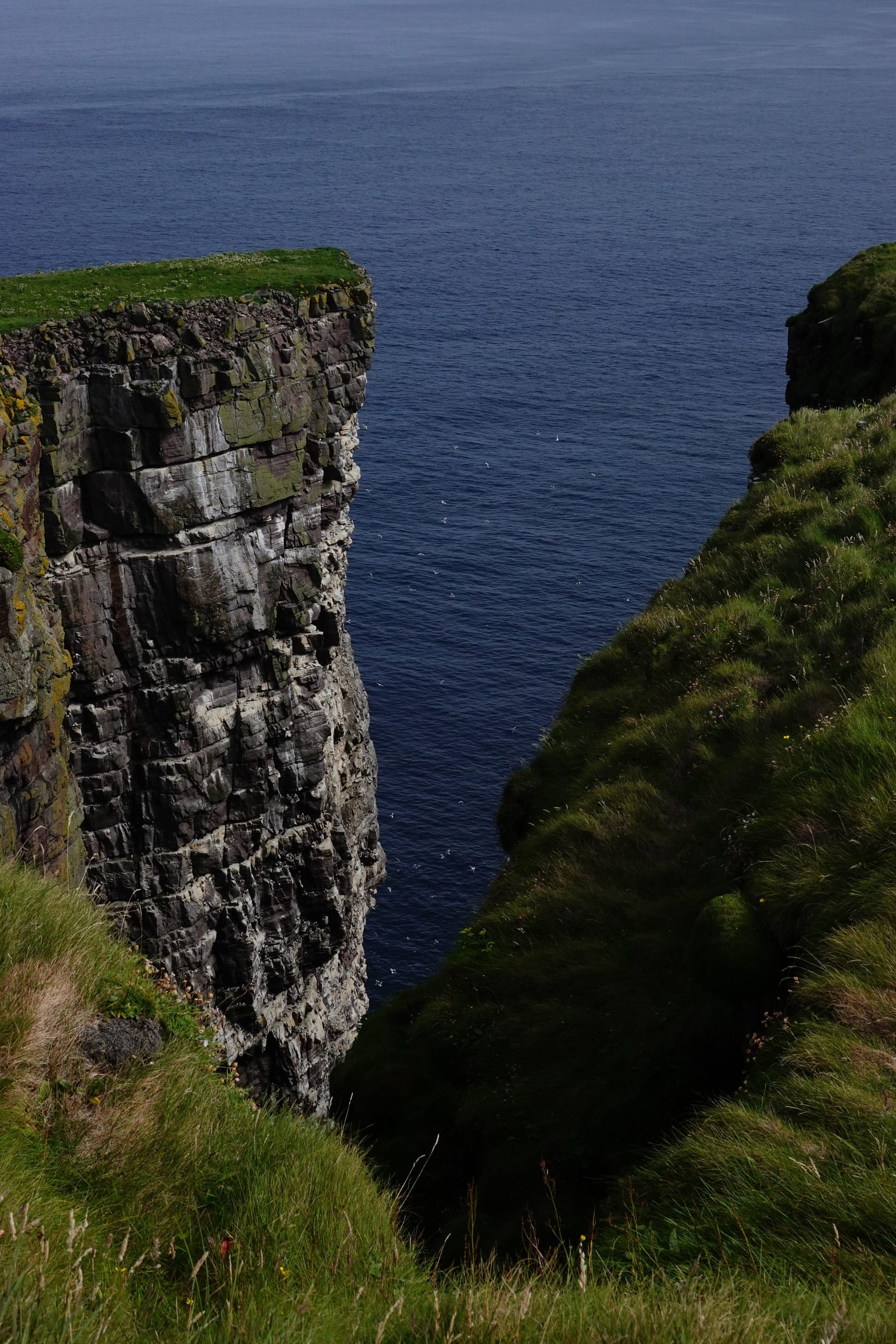Portrait view into a deep cliff cleft on Handa Island