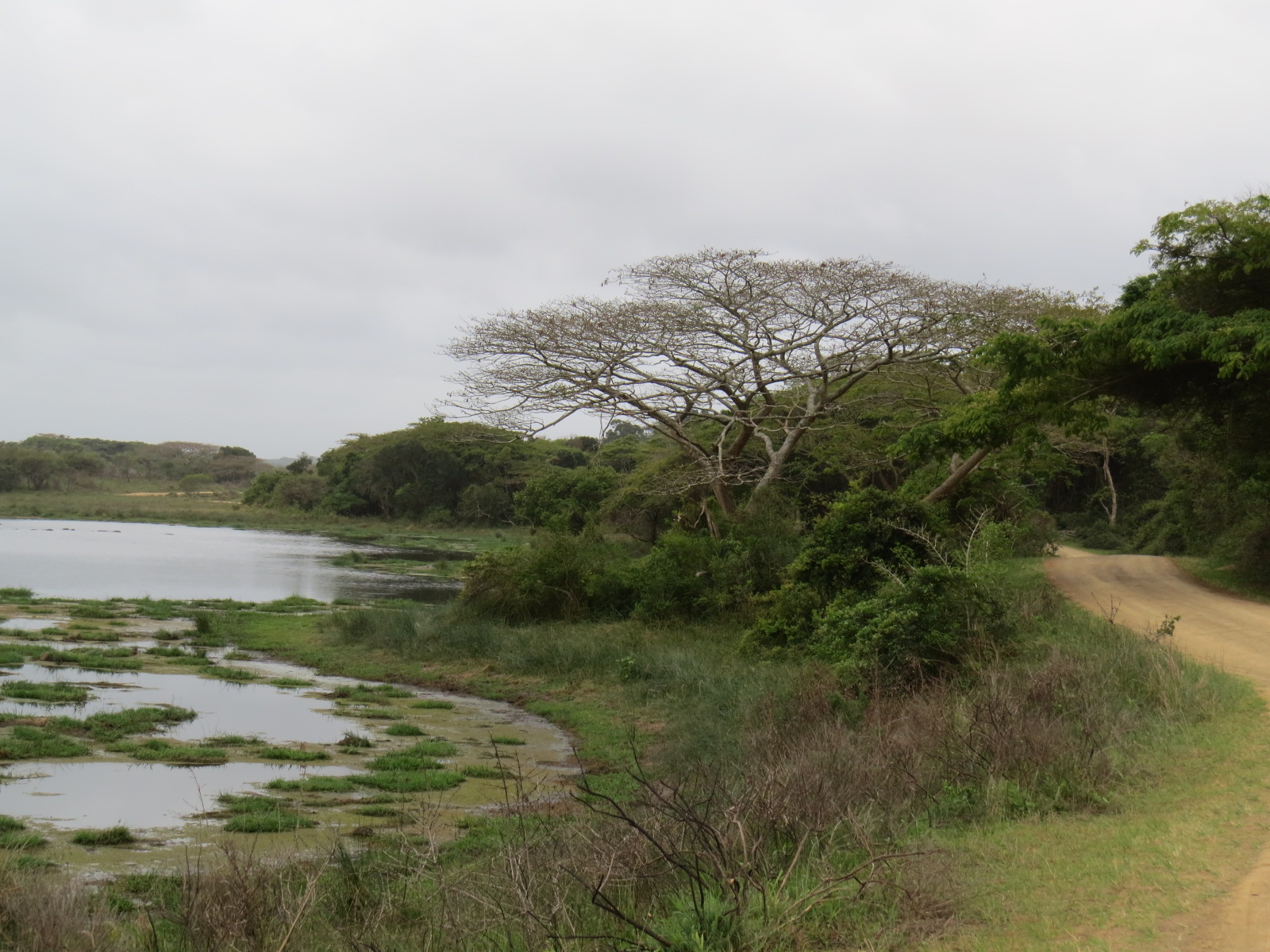 KwaZulu-Natal beach and coastal scenery