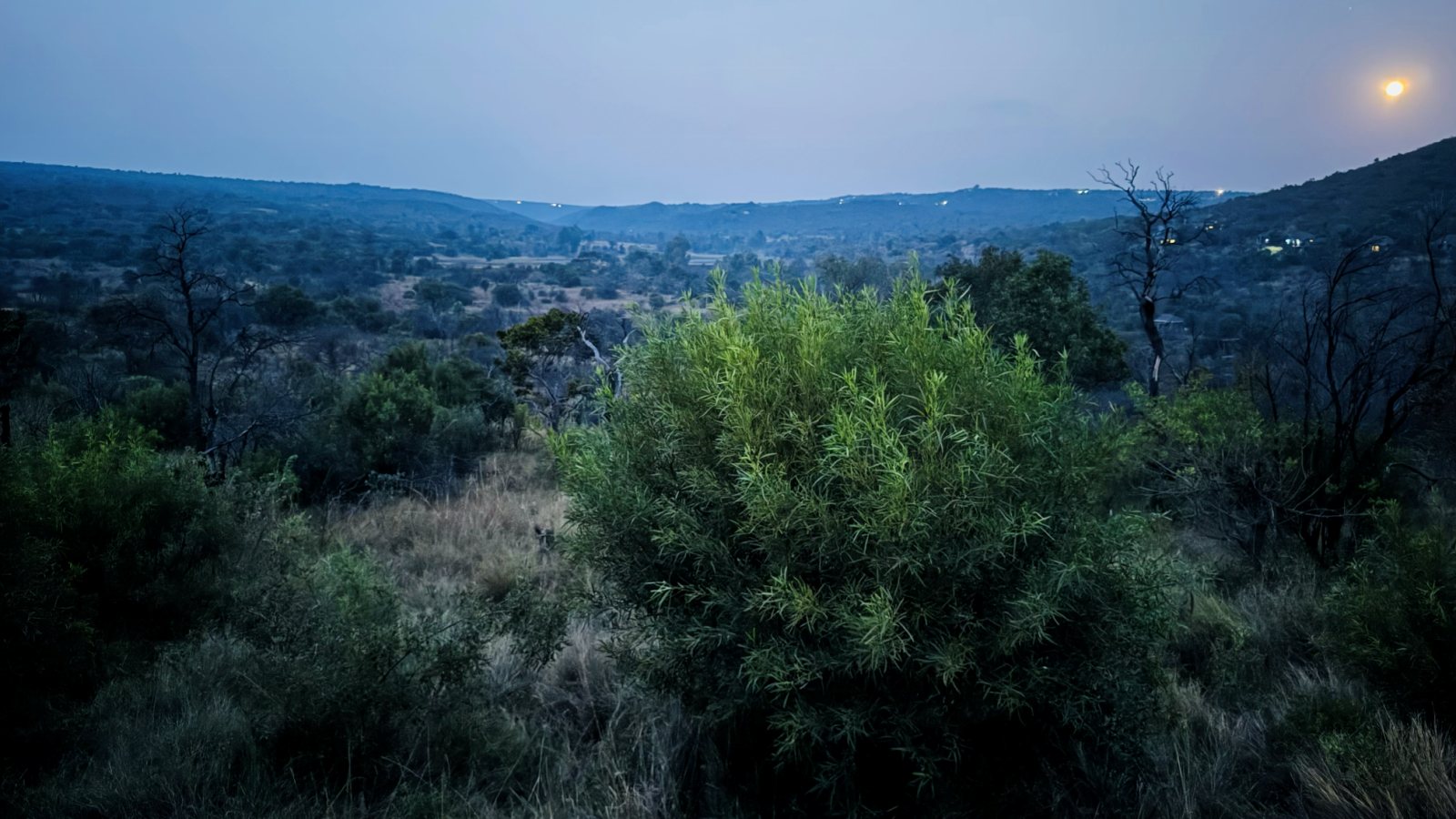Moonrise and evening view over Mabalingwe